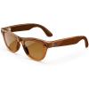 Shiny Caramel Transparent  Polarized Brown