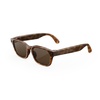 Classic Tortoise/Brown Lenses