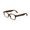 Classic Tortoise/Clear Lenses